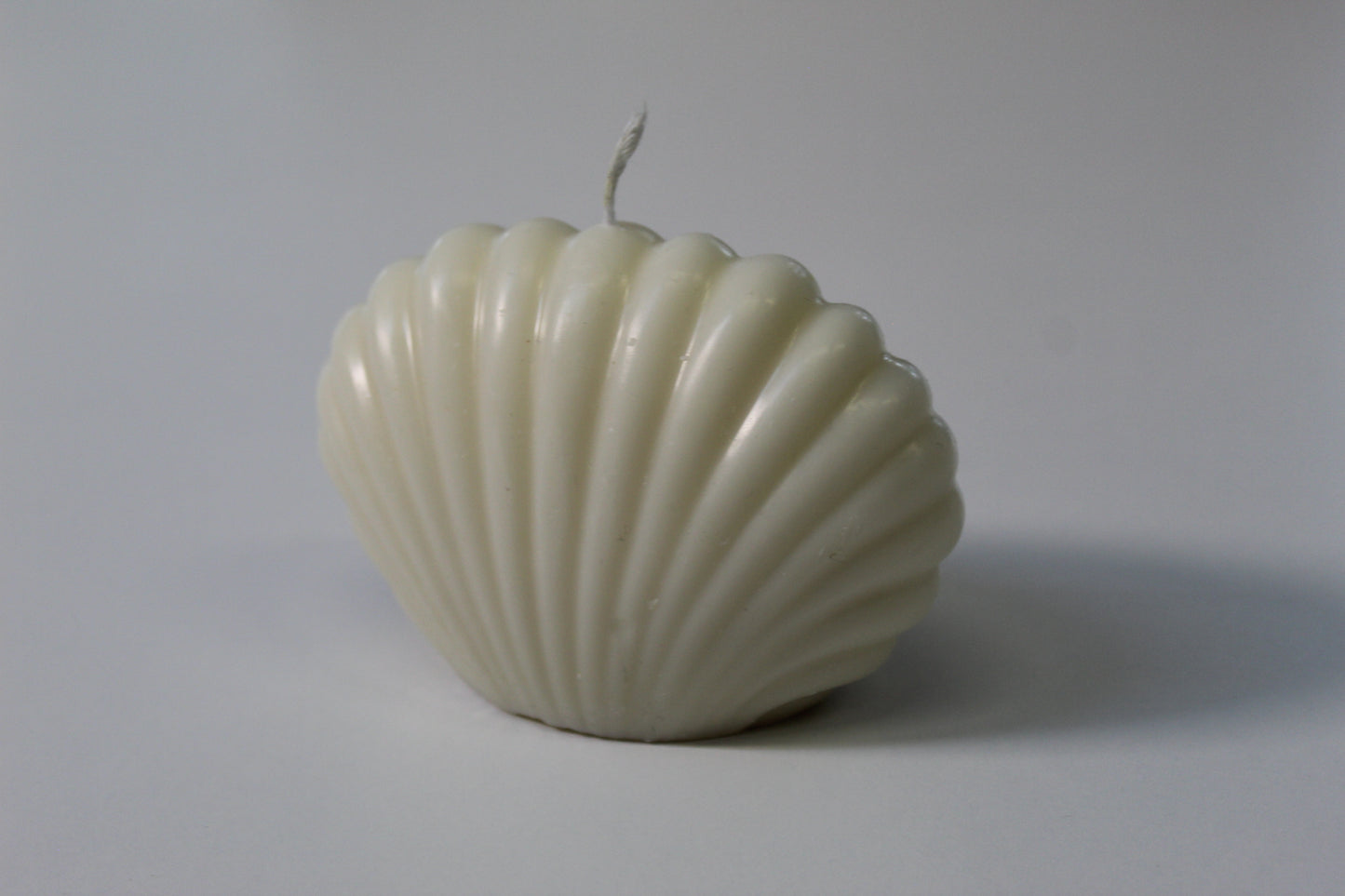 Muschelkerze „Meeresflüstern“ – Natürlich & Duftfrei