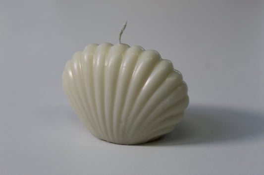 Muschelkerze „Meeresflüstern“ – Natürlich & Duftfrei