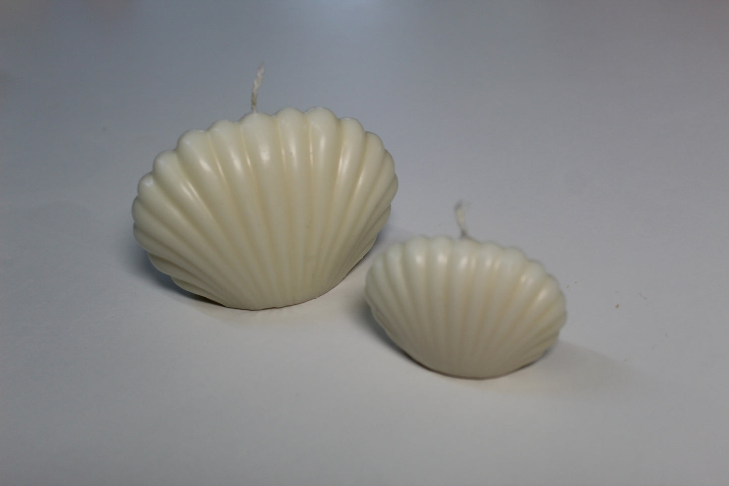 Muschelkerze „Meeresflüstern“ – Natürlich & Duftfrei