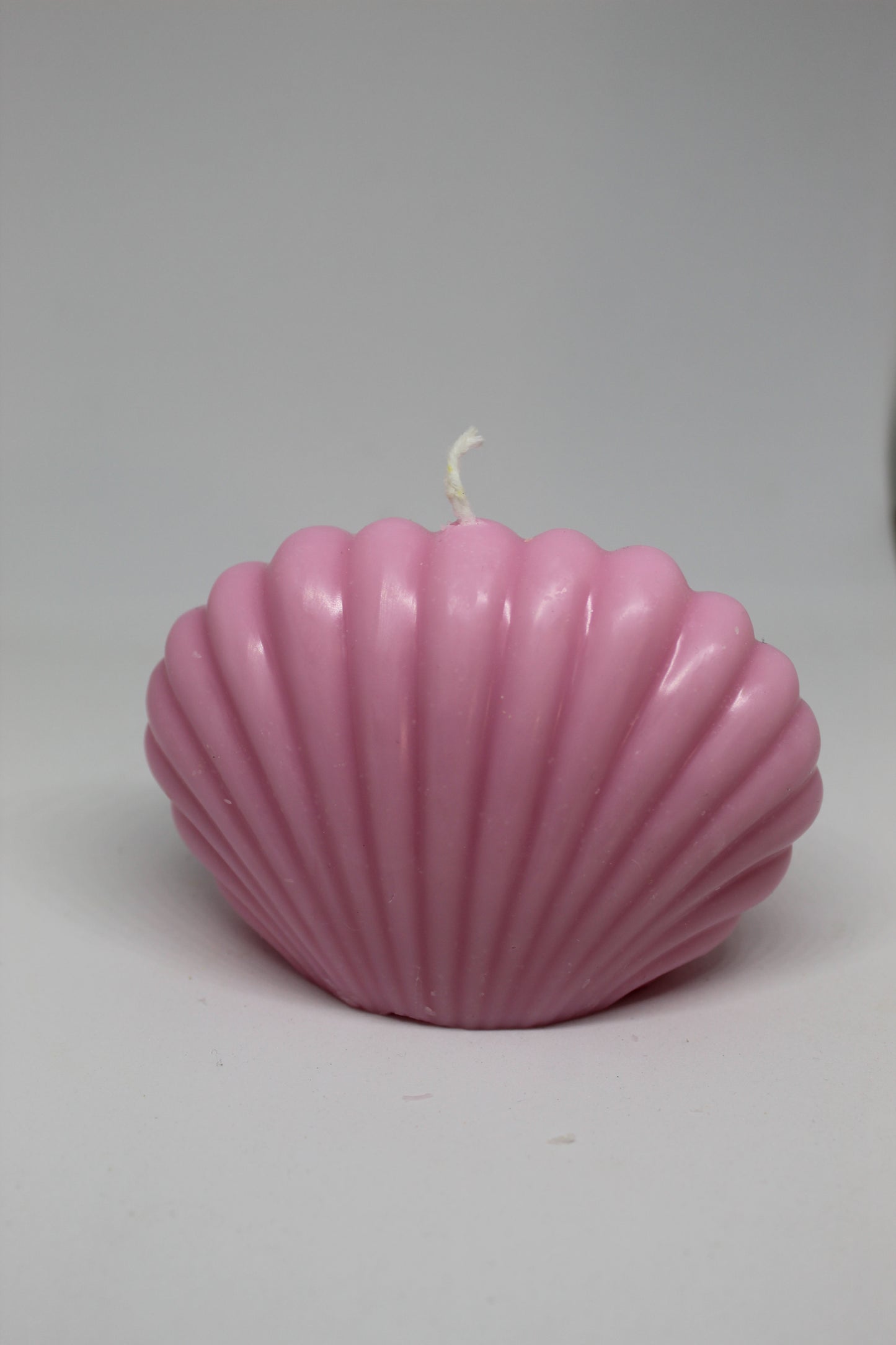 Muschelkerze „Meeresflüstern“ – Natürlich & Duftfrei