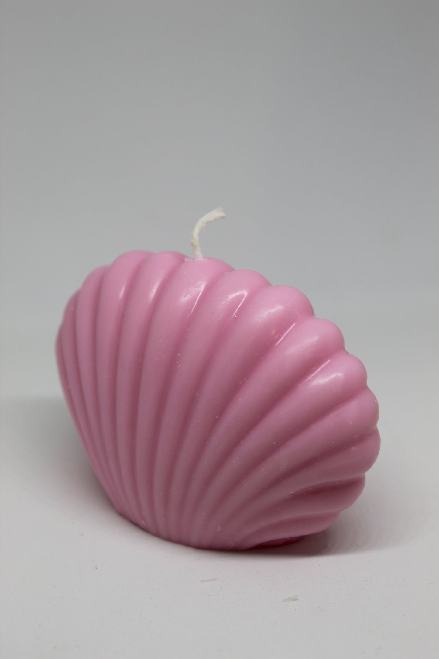 Muschelkerze „Meeresflüstern“ – Natürlich & Duftfrei