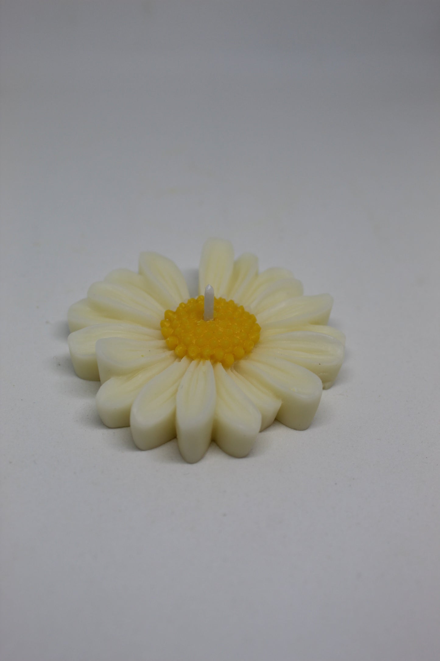 Gänseblümchenkerze „Blütenzeit“ – Schwimmkerze mit Frühlingsgefühl